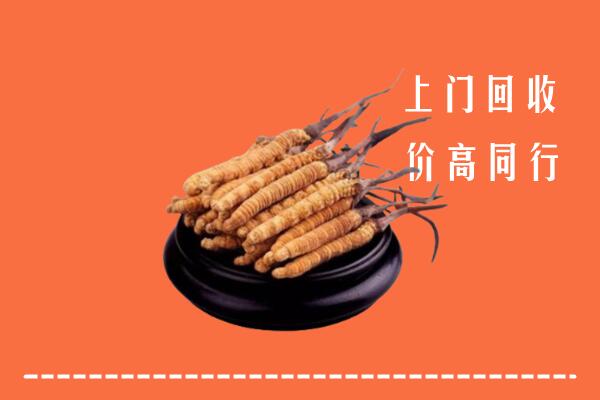 高价求购：罗平县回收散虫草