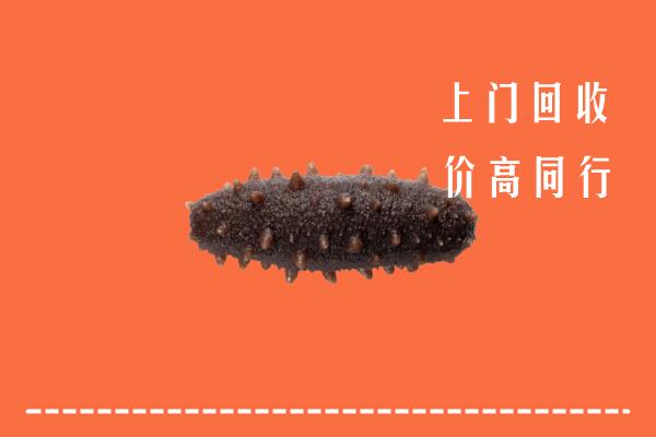 高价求购：罗平县回收海参